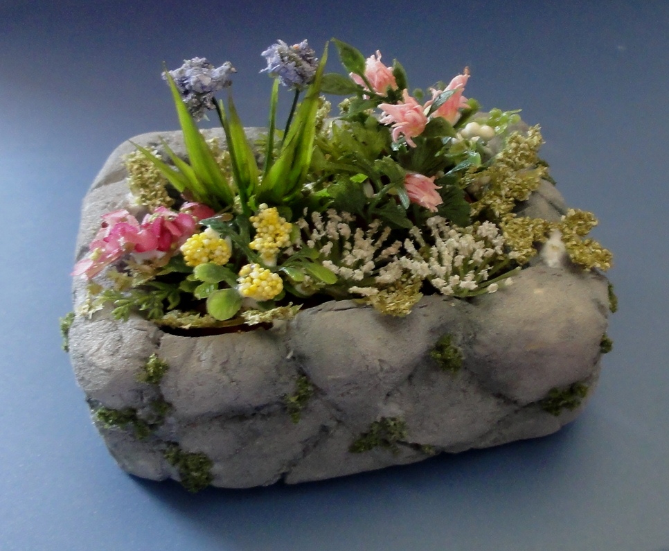 Adult class Rock Garden 2